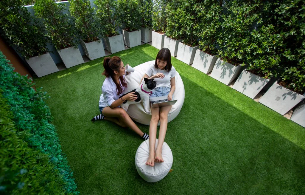 Artificial Grass Installation Sandton